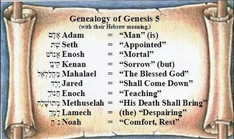Bible, God and DNA